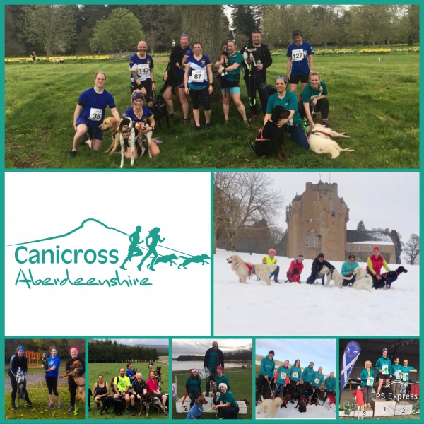 Canicross Aberdeenshire Individual/ Joint /Junior Membership 2023/24 carousel image 1