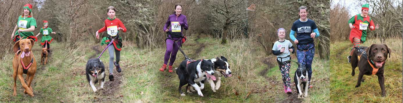 Cani-Sports Scotland Lochore Meadows