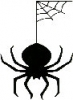 Logo for Lochore Meadows Tristars Aquathon