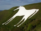 Logo for The White Horse Gallop