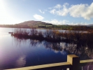 Logo for Llangorse Lake Big Swim 2020