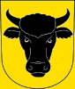 Logo for Builth & District RC Junior Membership