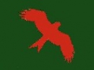 Logo for Rhayader Running Club Membership 2024/25