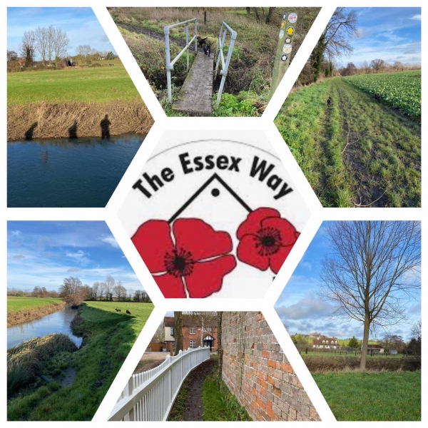 Run the Essex Way 82 miles (virtual on the actual route) carousel image 1