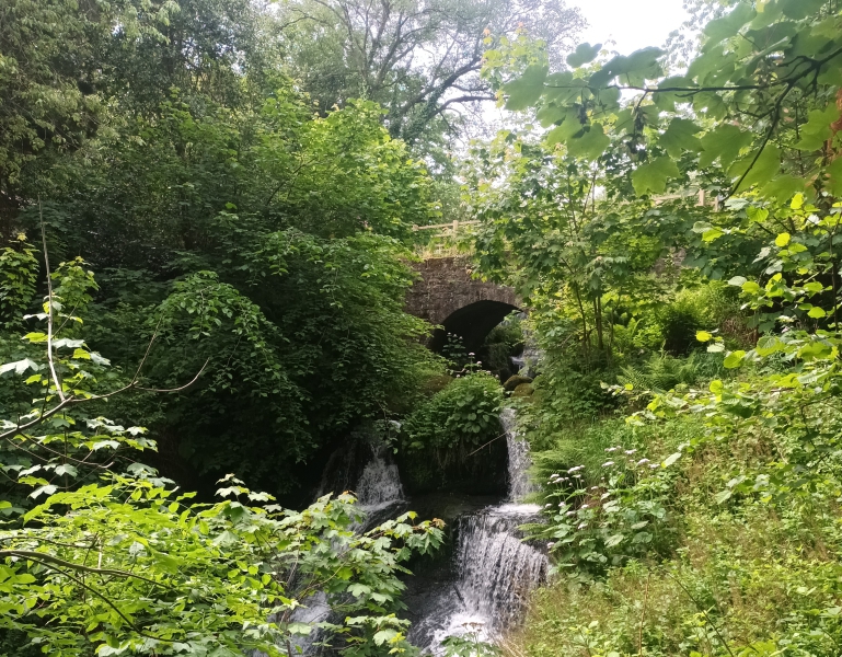 ACORN Rouken Glen Trail Race carousel image 1