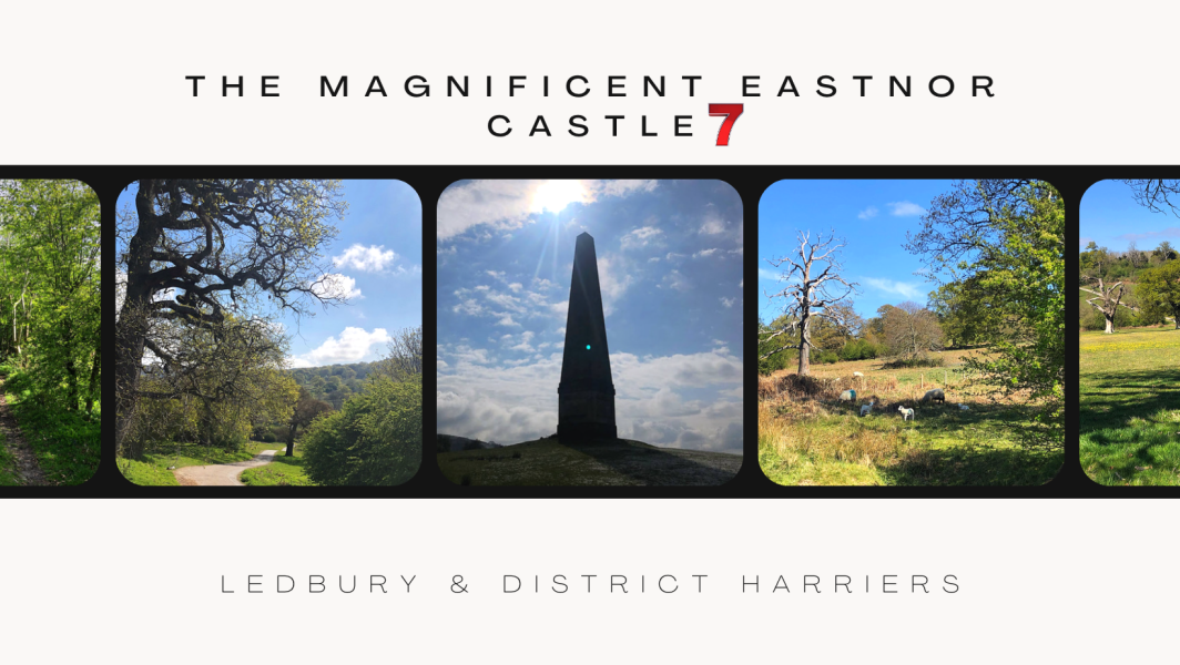 Magnificent Eastnor Castle 7 2024  Cani-Cross carousel image 1