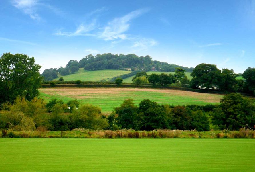 Wye Valley Summer Cross Country sign up carousel image 1