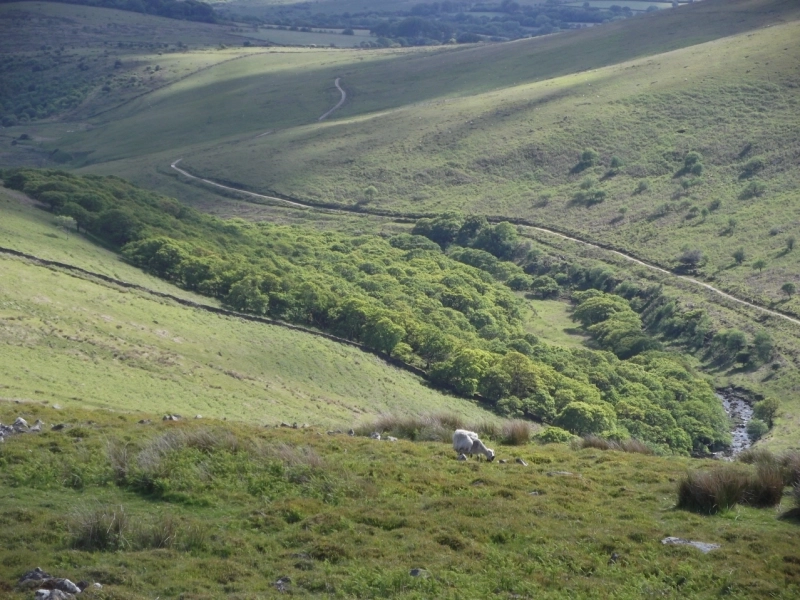 A Guided Run: A visit to an ancient English oak woodland; Piles Copse carousel image 1