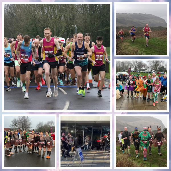 Loftus Poultry Run