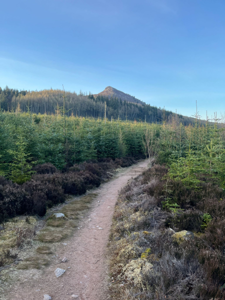 Bennachie Summer Series carousel image 1