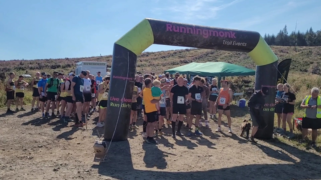 The Wild Wolf of Radnor carousel image 3