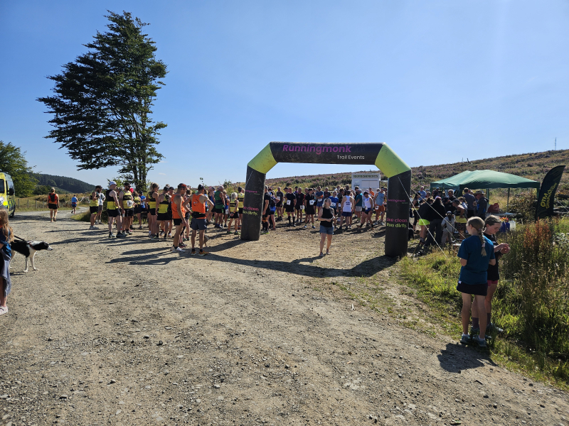 The Wild Wolf of Radnor carousel image 2