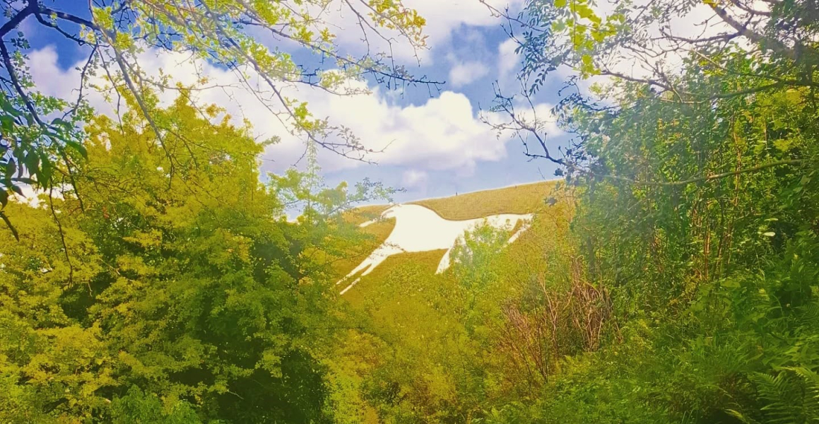 White Horse Gallop #3WORRL