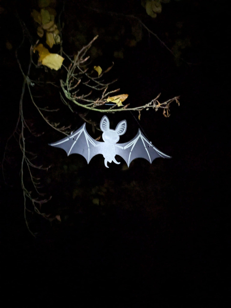 Chelmsford "Boos" Co Halloween trail run (6.66!) carousel image 3