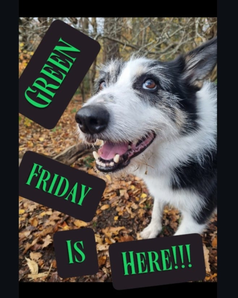 ACORN Trail Card 2026 carousel image 1