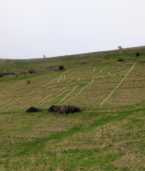 Plough & Harrow Longman trail 10k carousel image 1