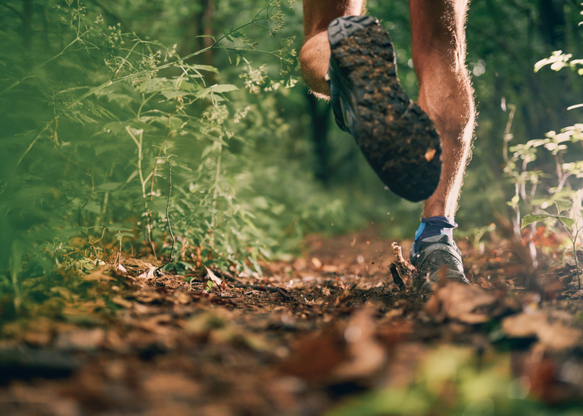 Timber Trails Summer 2026