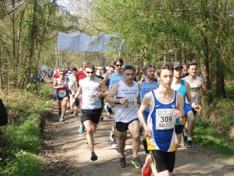 Rotary Club of Bourne "Run in the Woods" carousel image 1