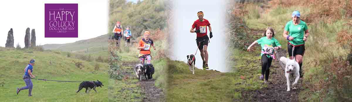 Cani-Sports Scotland Isle of Mull Races carousel image 1