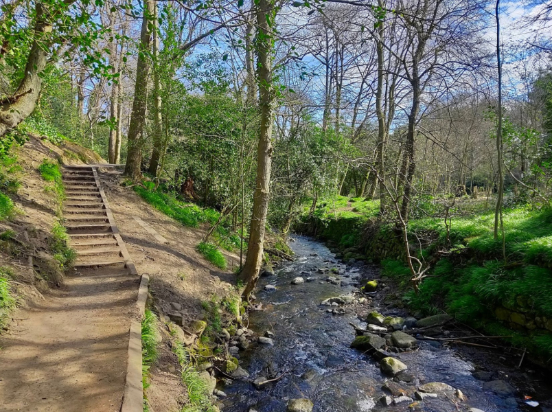 Hermitage of Braid and Blackford Hill 10km and 5km Trail Runs and Festive Fun Run 2023 carousel image 3