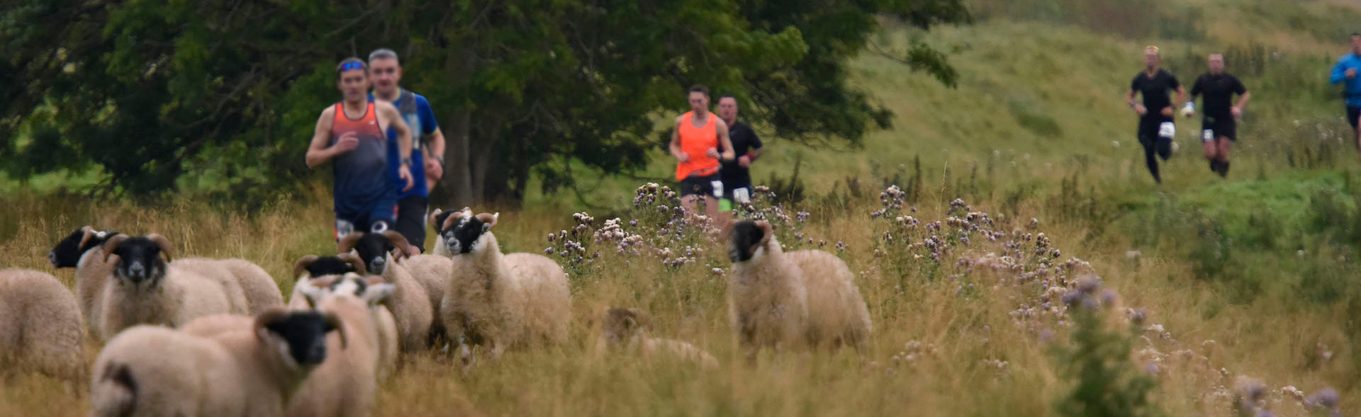 River Ayr Way Challenge (Ultra Marathon) carousel image 1