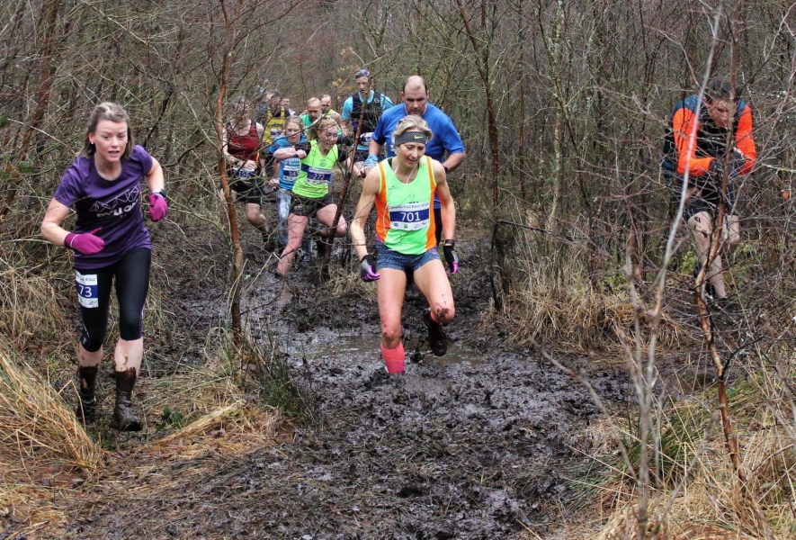 CARNEGIE HARRIERS Devilla Forest 15 and 5 - Kincardine, Fife carousel image 1