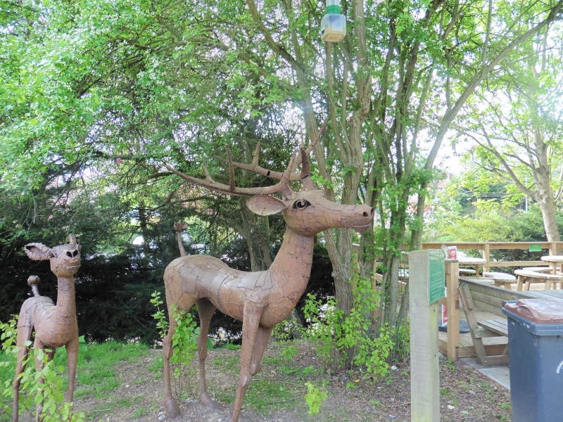 Castle Trail carousel image 1