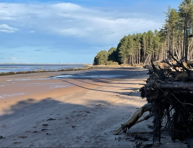 Scurry Around Tentsmuir Forest Trail running festival 2023 carousel image 1