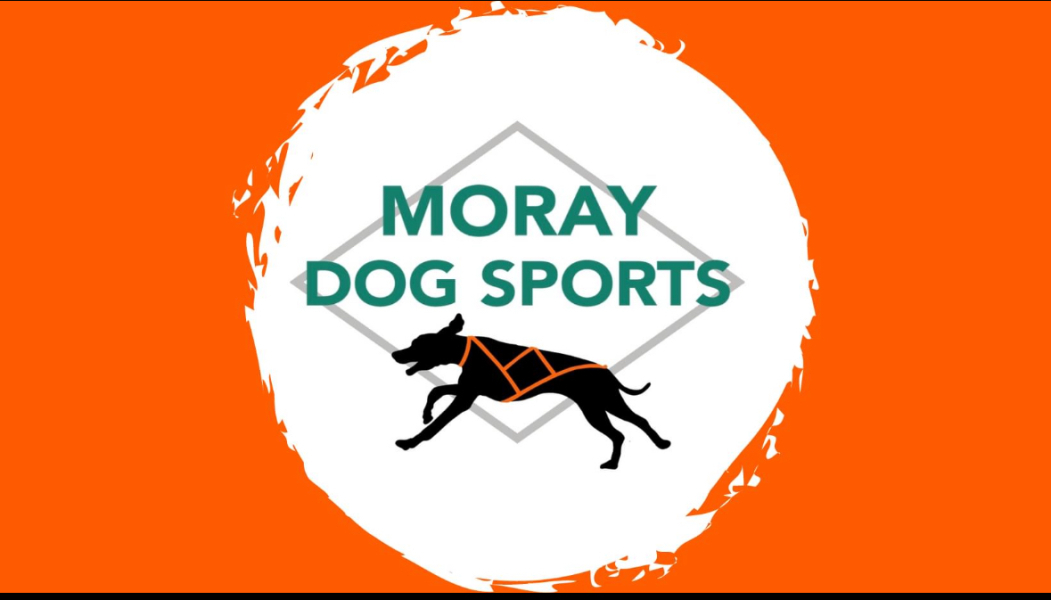 Moray Dog Sports Castle Carnival carousel image 1