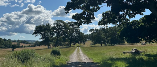 Flete 10K and Family Fun Run