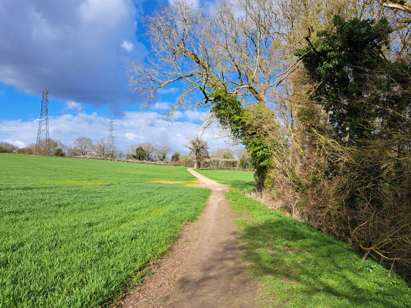 The George and The Dragon carousel image 1
