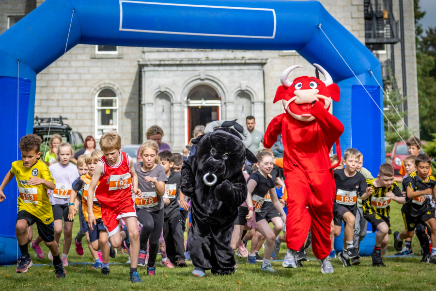 Alford Bull Running Festival
