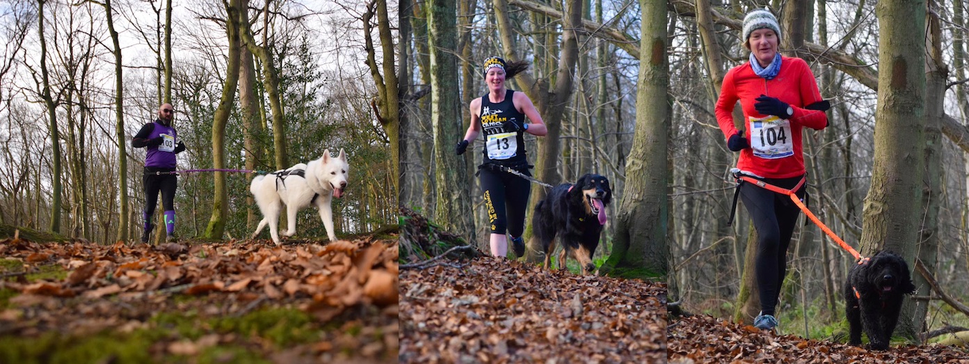 Cani-Sports Scotland Muiravonside