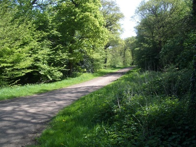 Orion Harriers Forest Five Series 2026 carousel image 1