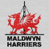 Logo for Maldwyn Harriers Senior Membership