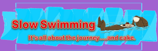 Logo for 2024 Norfolk Slow Swim and Picnic