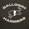 Logo for Galloway Harriers 2026