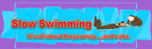 Logo for 2027 Great East Skinny Dip